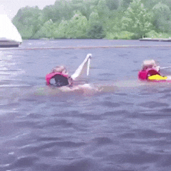 e3b6155d92fe782840971c3a13ed4ef6.gif?r=858975811 e3b6155d92fe782840971c3a13ed4ef6.gif?r=858975811